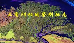 三角洲行动辅助网的网址（三角洲行动辅助网哪个网址最好用？）