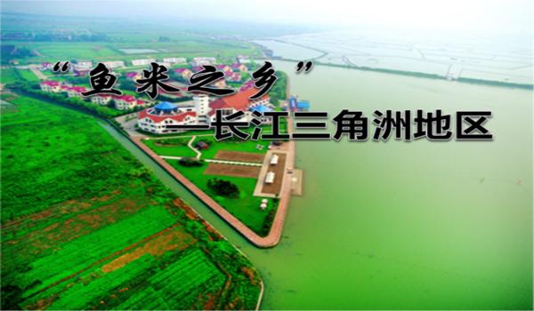 三角洲官网下载的怎么看地区(有没有三角洲官网下载地区的教程?) 三角洲官网下载的怎么看地区(有没有三角洲官网下载地区的教程?)